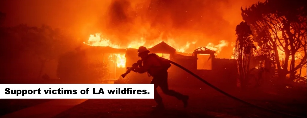 LA Fire – 1